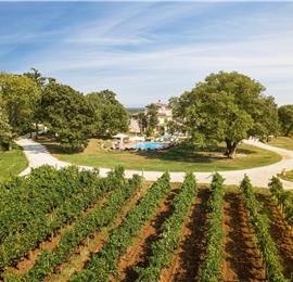 Luxury Villa Estate with 3 Pools on Istrian Vineyards near Bale, sleeps 56-60